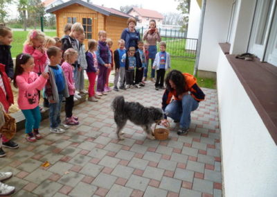 Psi pomagači