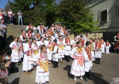 Svehrvatska smotra