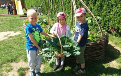 Najljepši školski vrtovi – HRT projekt