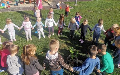Dječji vrtić Lojtrica uključen u građansku inicijativu „Dani kolektivne sadnje drveća“