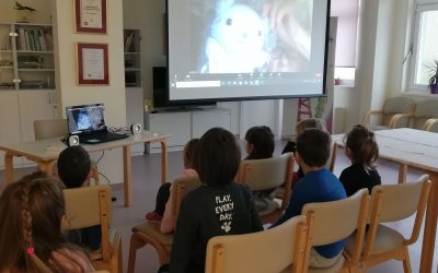 Online predstavljanje slikovnice „Uhvati mi plavog medu“