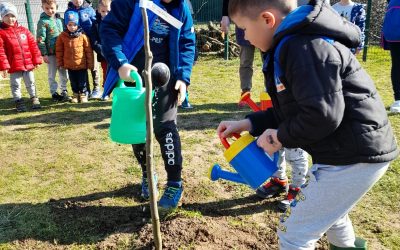 Sudjelovanje DV Lojtrica u građanskoj inicijativi Zasadi stablo, ne budi panj