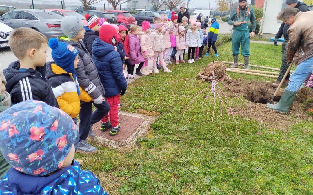 Projekt „Škola u šumi, šuma u školi“