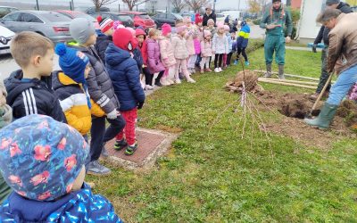 Projekt „Škola u šumi, šuma u školi“