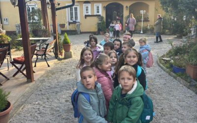 Izlet u imanje Contessa – “Čarobna dvorska pustolovina”